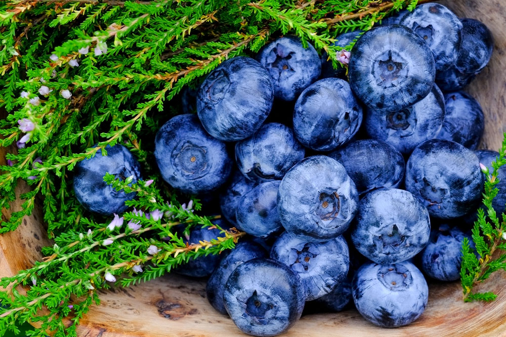 Hyperkalemia – Causes and Management Options